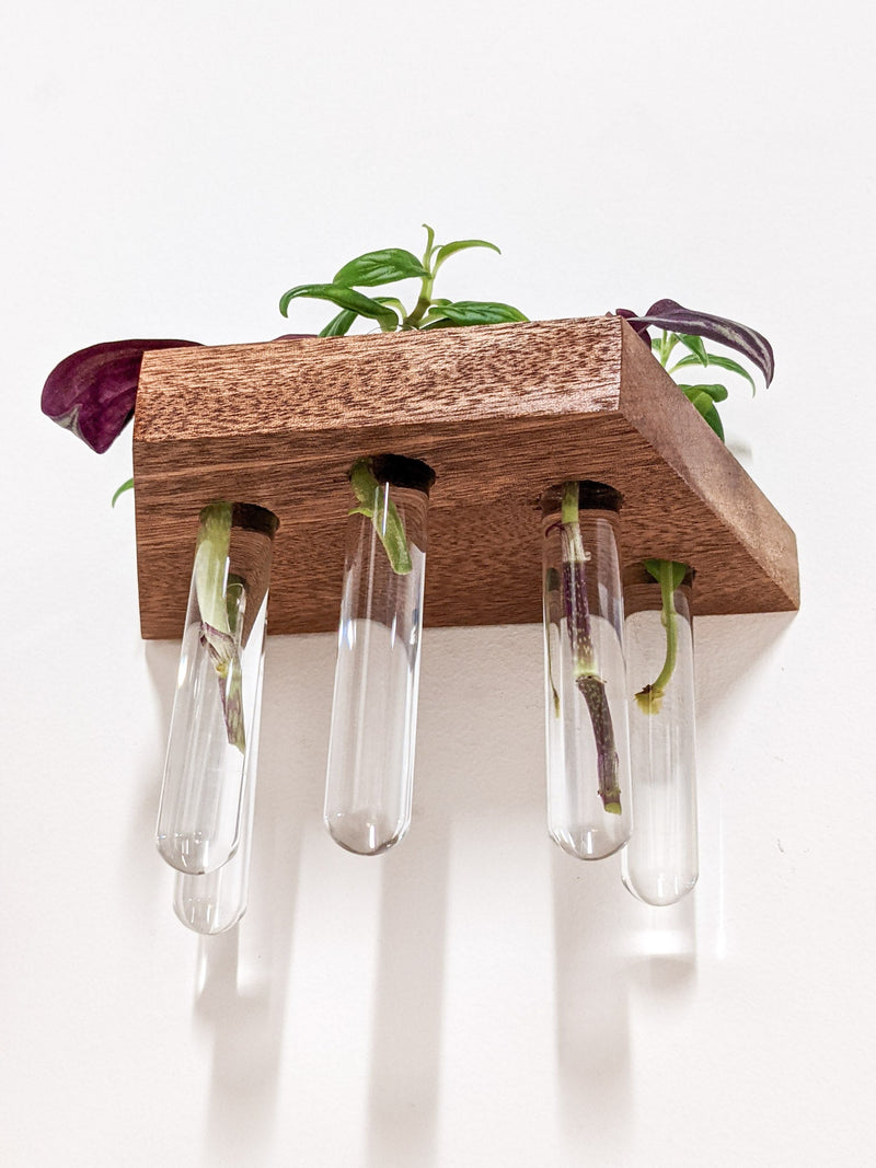Trapezoid Propagation Station Shelf for Plant Cuttings