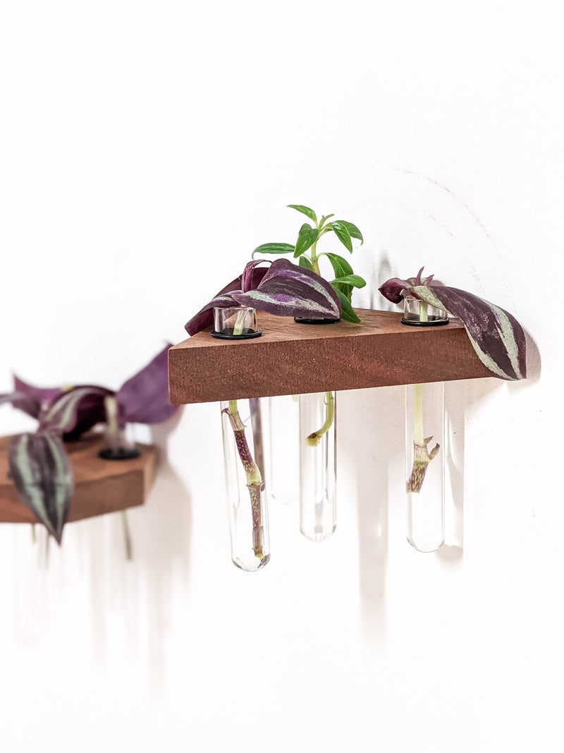 Triangle Propagation Station Shelf for Plant Cuttings