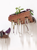 Rhombus Propagation Station Shelf for Plant Cuttings