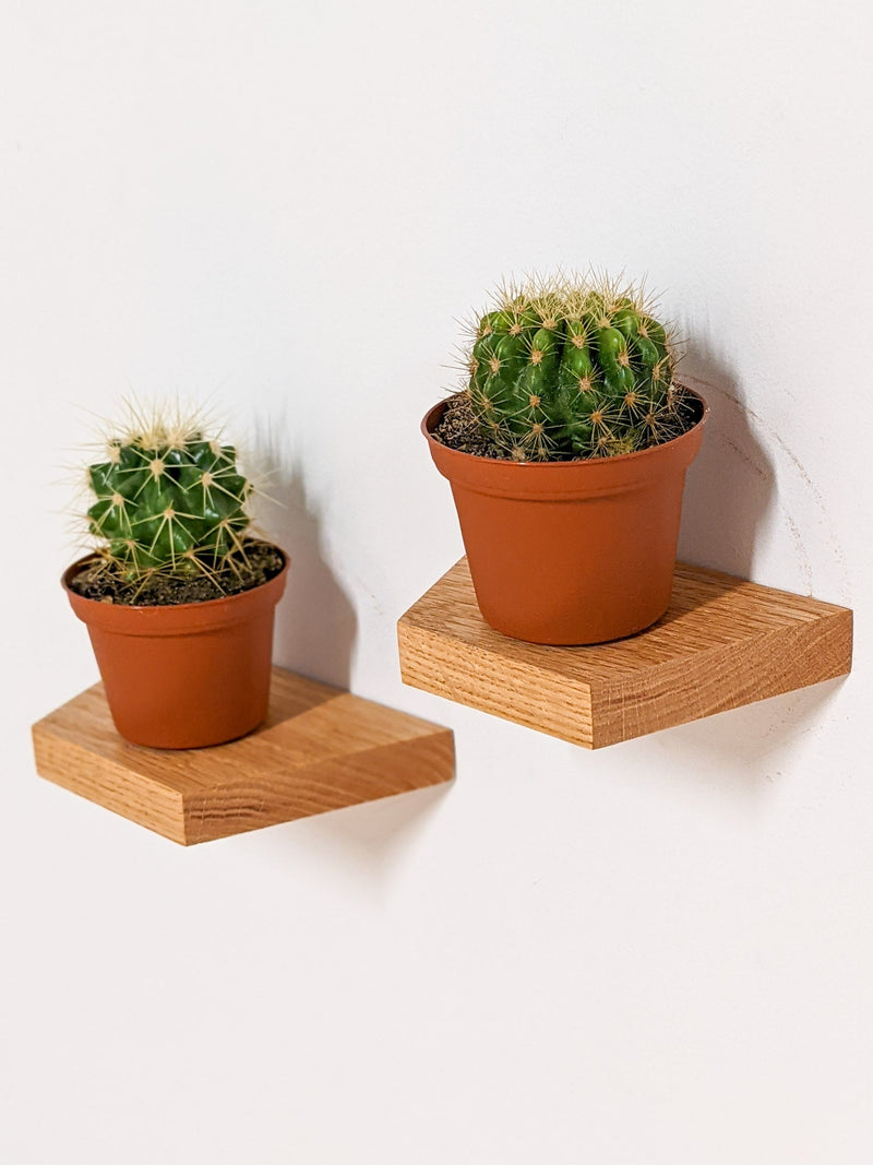 Small Trapezoid Display Shelf in Oak
