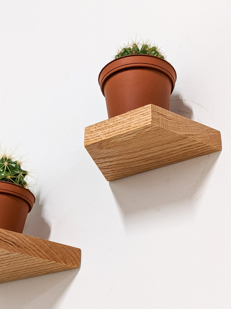 Small Trapezoid Display Shelf in Oak