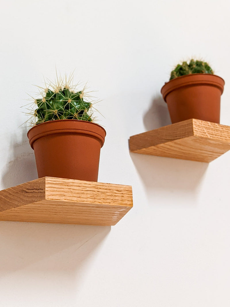 Small Trapezoid Display Shelf in Oak