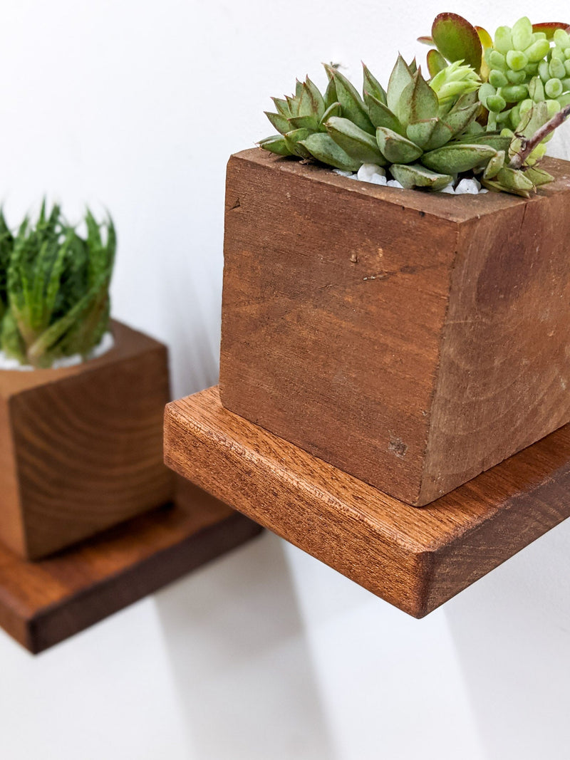 Small Square Display Shelf in Oak