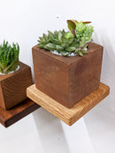 Small Square Display Shelf in Mahogany