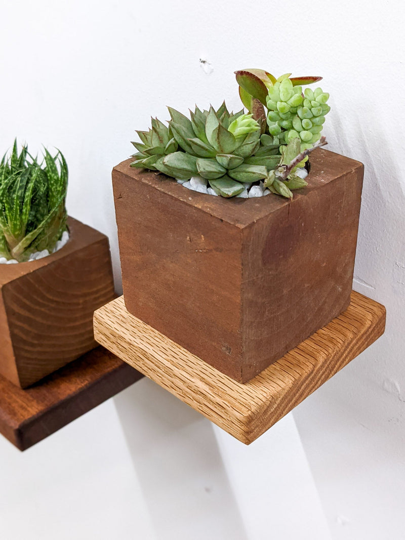 Small Square Display Shelf in Mahogany