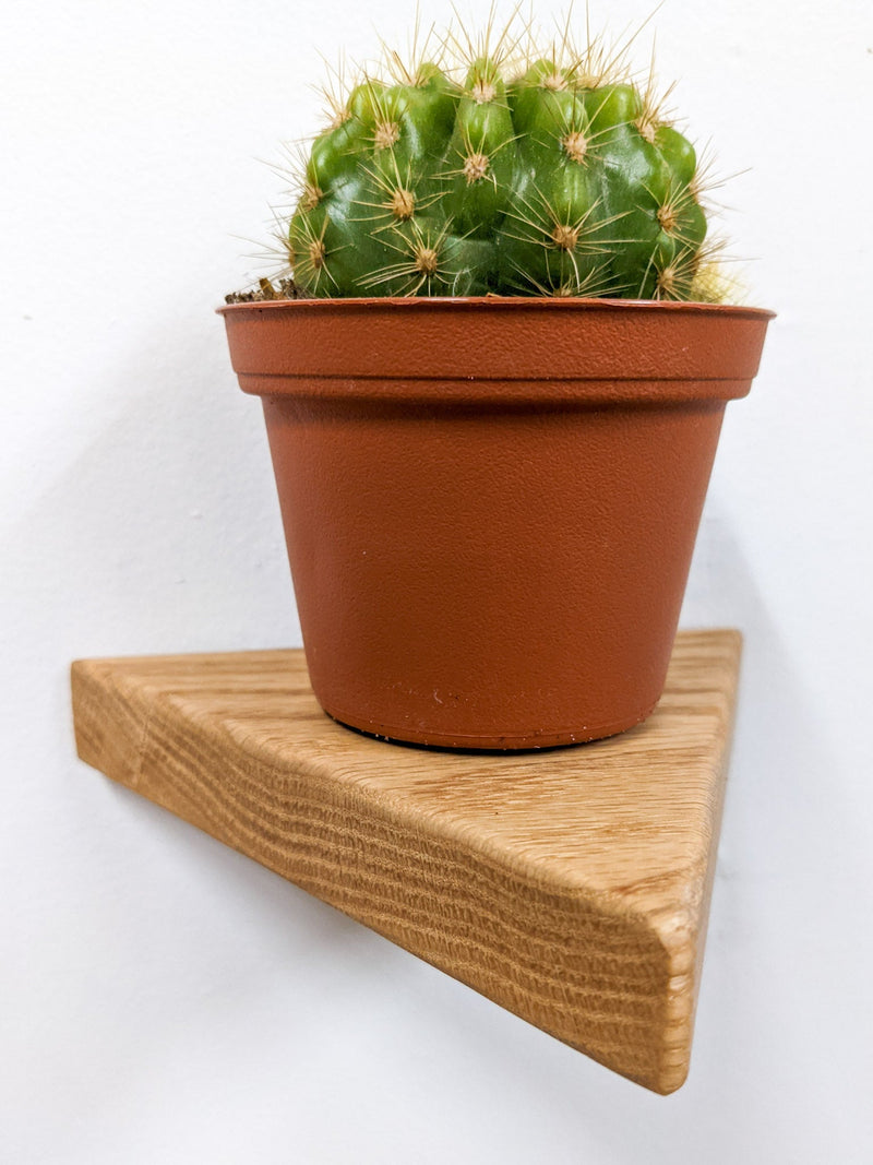Small Triangle Display Shelf in Oak