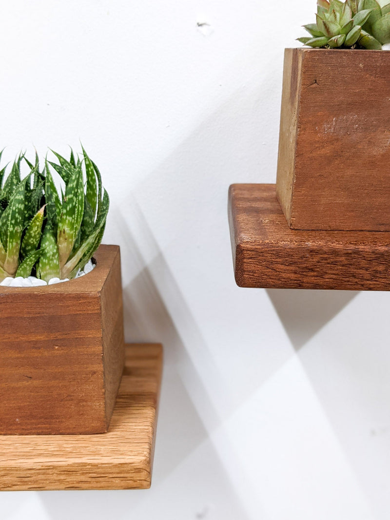 Small Square Display Shelf in Mahogany