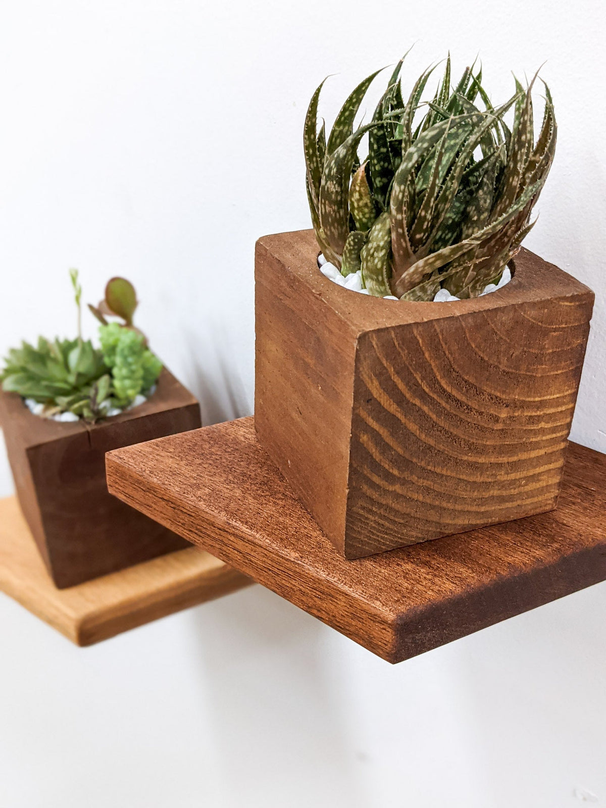 Small Rhombus Display Shelf in Mahogany, photo 2 of 10