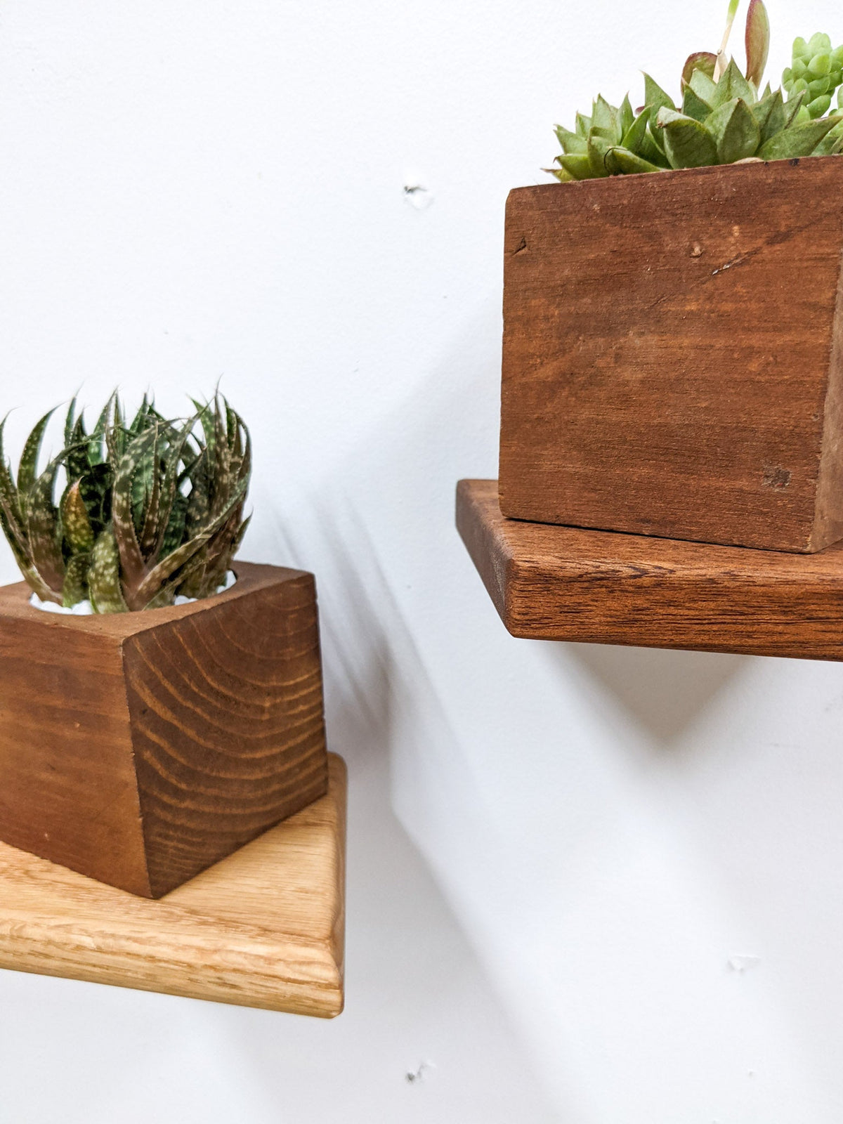 Small Rhombus Display Shelf in Mahogany, photo 8 of 10