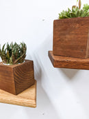 Small Rhombus Display Shelf in Mahogany
