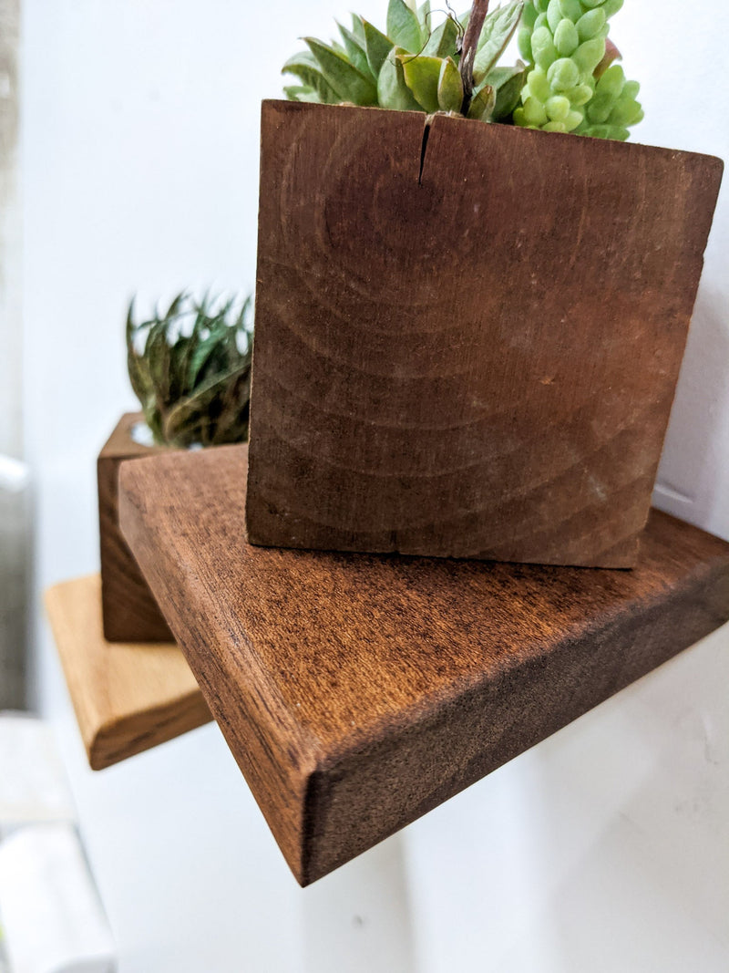 Small Rhombus Display Shelf in Oak