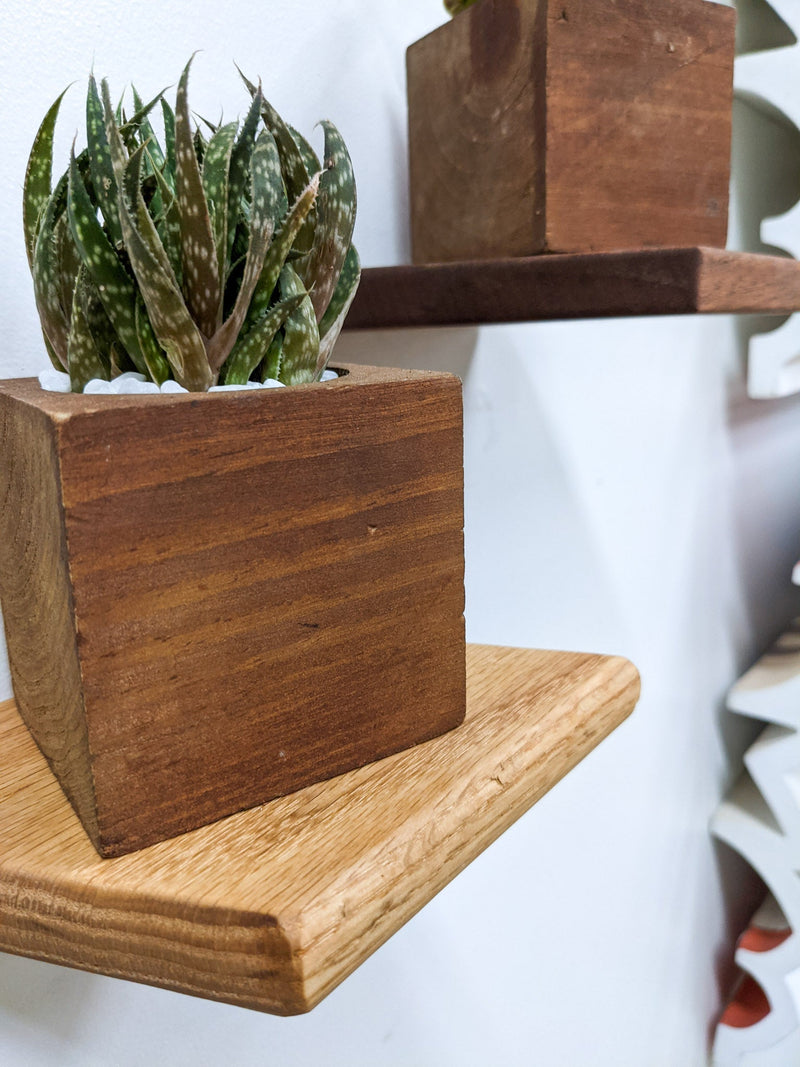 Small Rhombus Display Shelf in Oak