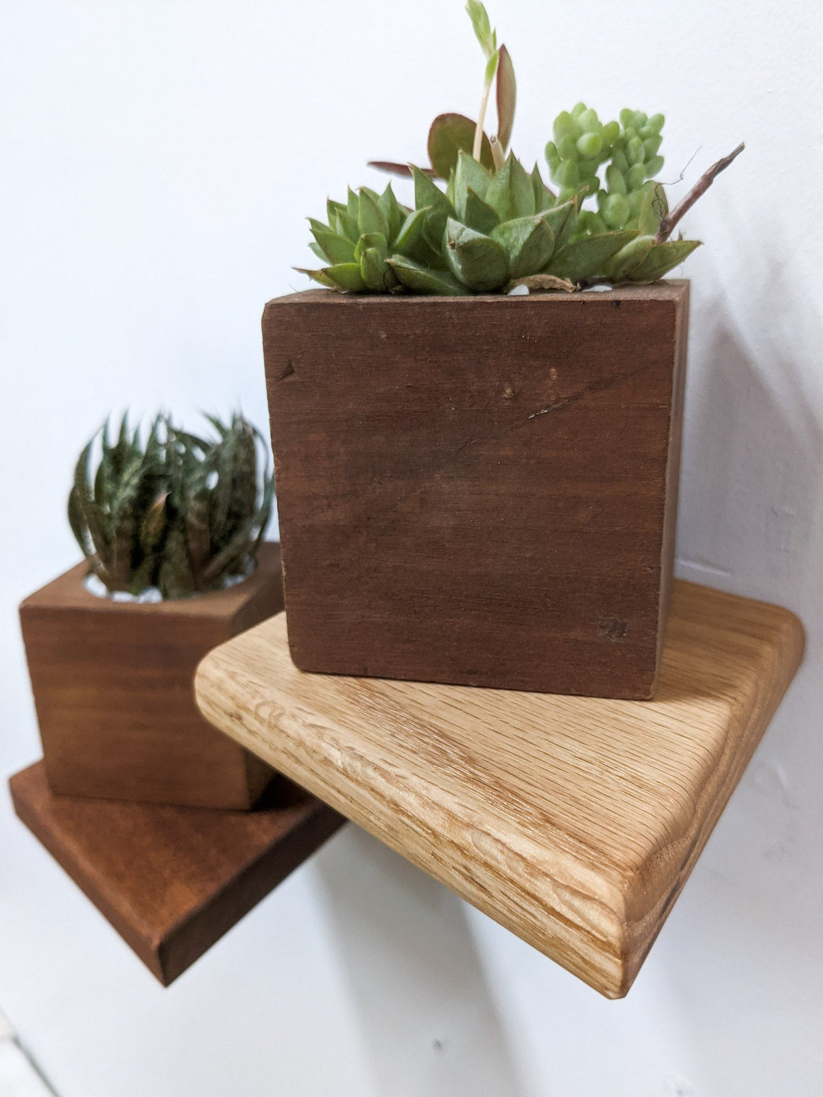 Small Rhombus Display Shelf in Mahogany, photo 7 of 10