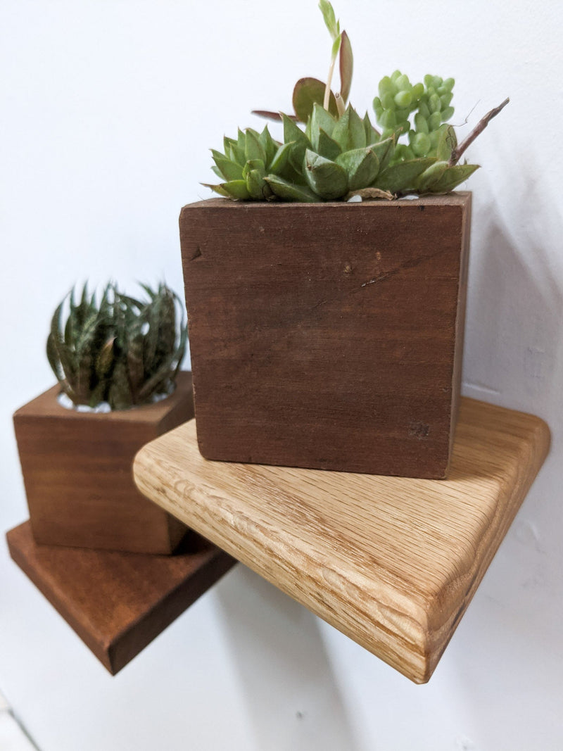Small Rhombus Display Shelf in Oak