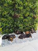 Lush Spring Artificial Vertical Garden Green Wall Panel 40×40in 11 SQ FT – UV Resistant – Commercial Grade by Designer Plants USA