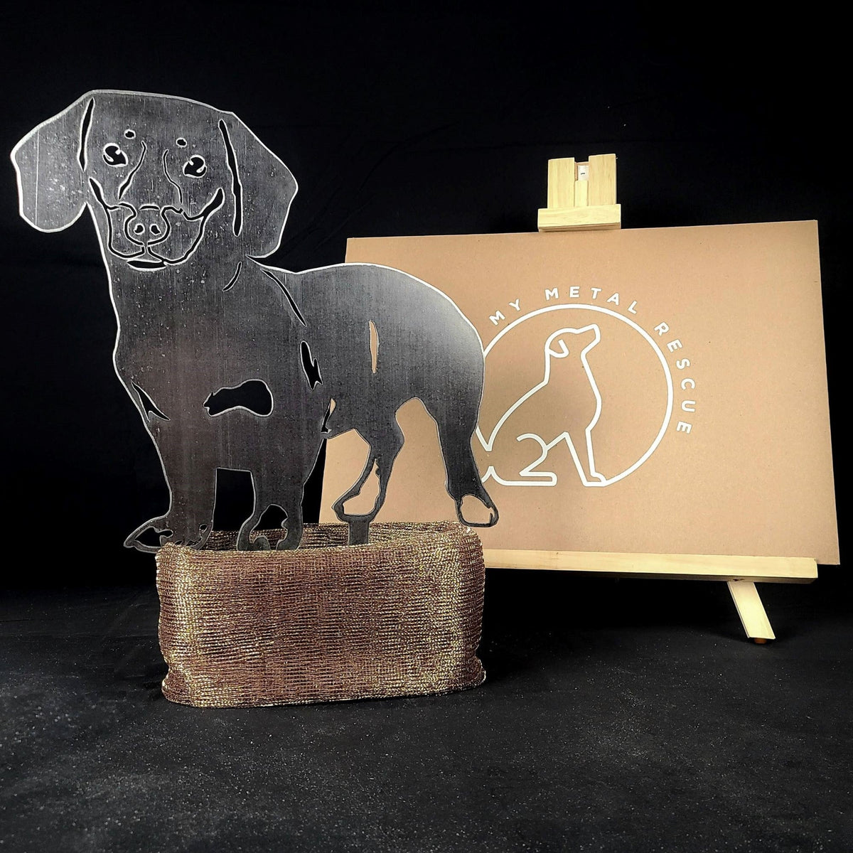 Dachshund - Shorthaired, packed in its shipping crate