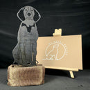 Treeing Walker Coonhound