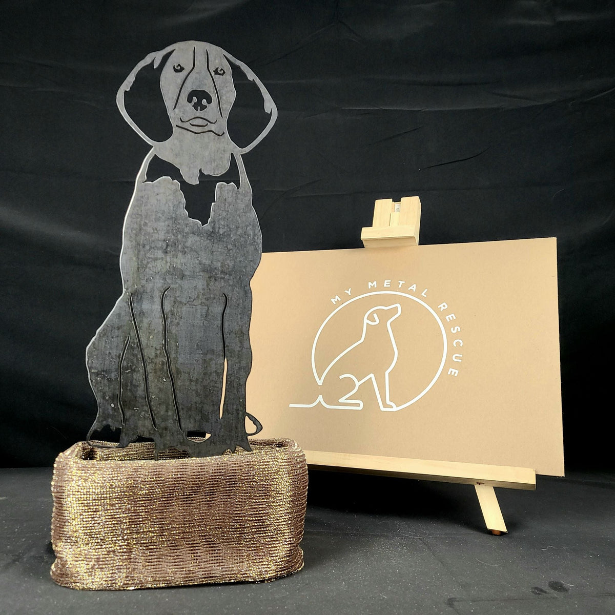 American English Coonhound, packed in its shipping crate