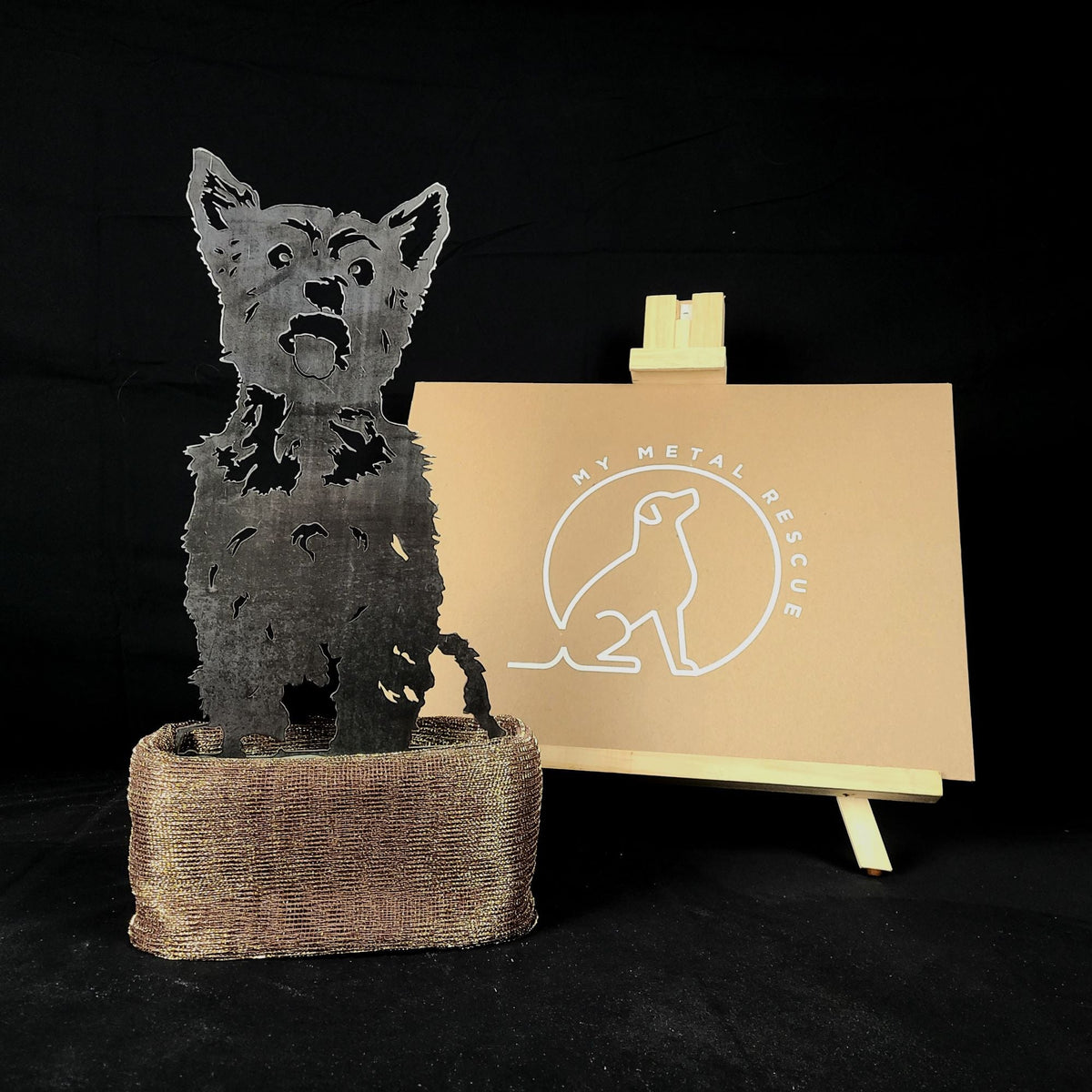 Yorkshire Terrier, packed in its shipping crate