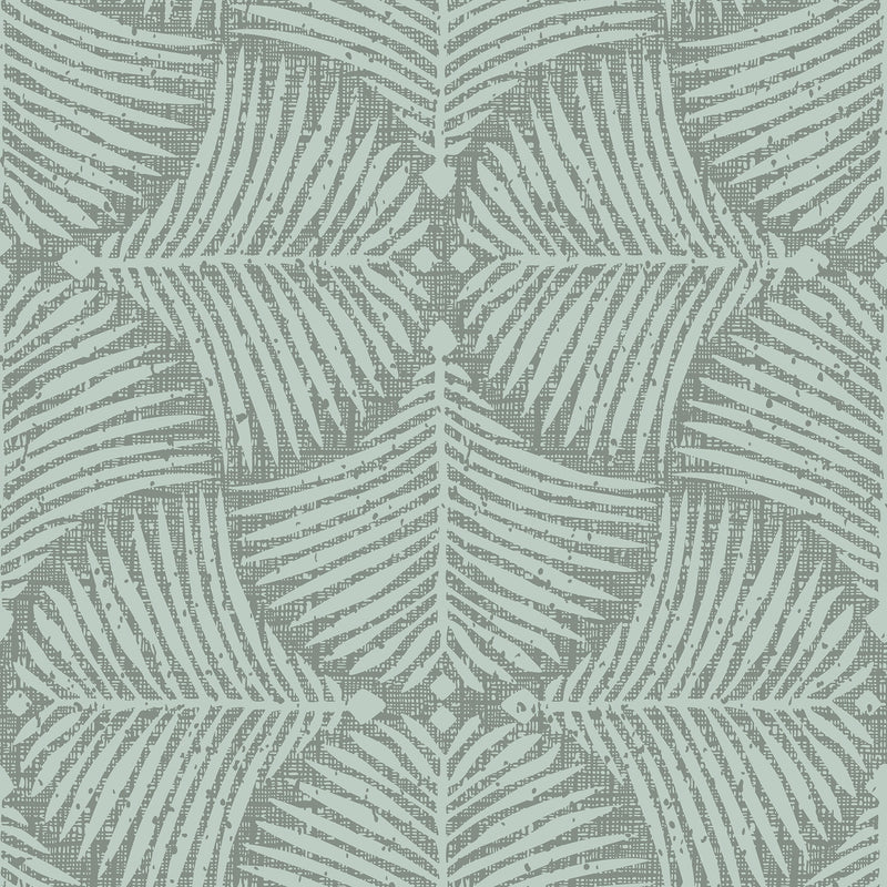 Fan Palm Wallpaper | Tropical Elegance