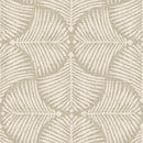 Fan Palm Wallpaper | Tropical Elegance