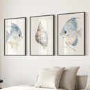 Trendy Nautical Wall Art Set of 3. Seashell and Fishes Posters by Wall Art Set