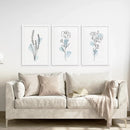 Botanical Line Art Set of 3 Pieces. Pastel Blue Flowers by Wall Art Set