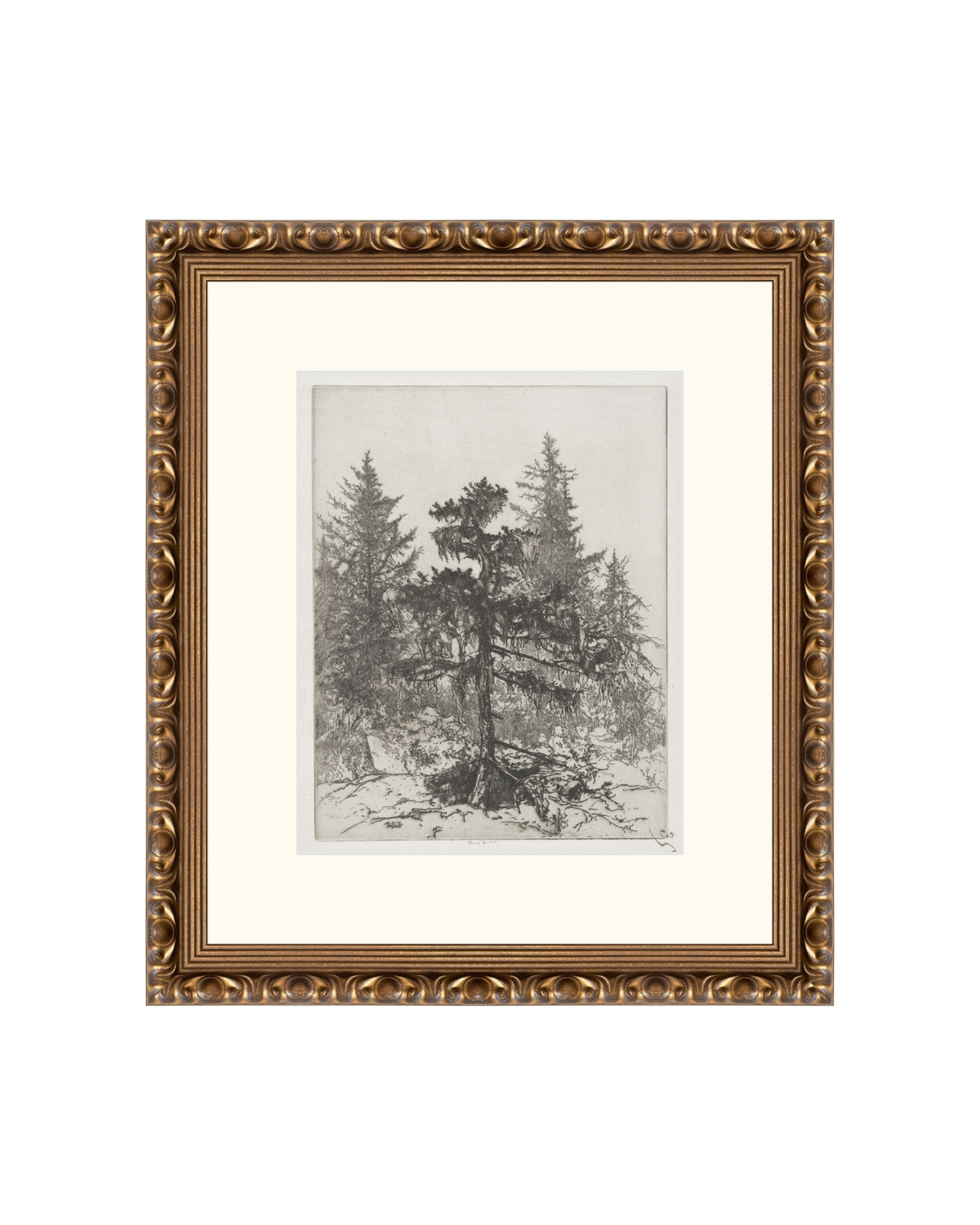 Pine Etching, photo 23 of 38