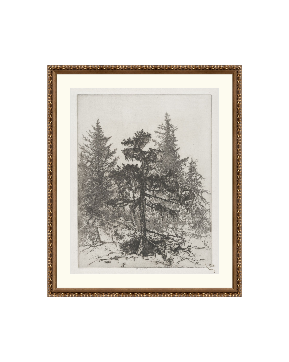 Pine Etching, photo 8 of 38