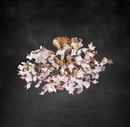 Peach blossom Ceiling Light