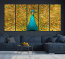 Peacock Wall Art Canvas Print by MyGreatCanvas | Canvas Wall Art Prints | Photo Prints & Wall Decor