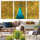 Peacock Wall Art Canvas Print by MyGreatCanvas | Canvas Wall Art Prints | Photo Prints & Wall Decor