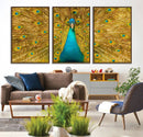 Peacock Wall Art Canvas Print by MyGreatCanvas | Canvas Wall Art Prints | Photo Prints & Wall Decor