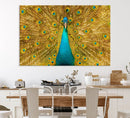Peacock Wall Art Canvas Print by MyGreatCanvas | Canvas Wall Art Prints | Photo Prints & Wall Decor