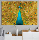 Peacock Wall Art Canvas Print by MyGreatCanvas | Canvas Wall Art Prints | Photo Prints & Wall Decor