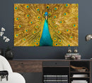 Peacock Wall Art Canvas Print by MyGreatCanvas | Canvas Wall Art Prints | Photo Prints & Wall Decor