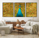 Peacock Wall Art Canvas Print by MyGreatCanvas | Canvas Wall Art Prints | Photo Prints & Wall Decor