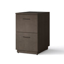 File/File Stationary Office Pedestal