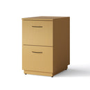 File/File Stationary Office Pedestal