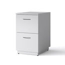 File/File Stationary Office Pedestal