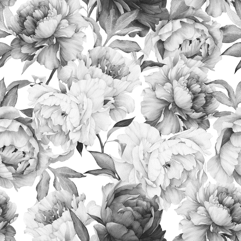 Black and White Peony Wallpaper