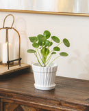 5.5 inch Decorative Ceramic Pot With Saucer