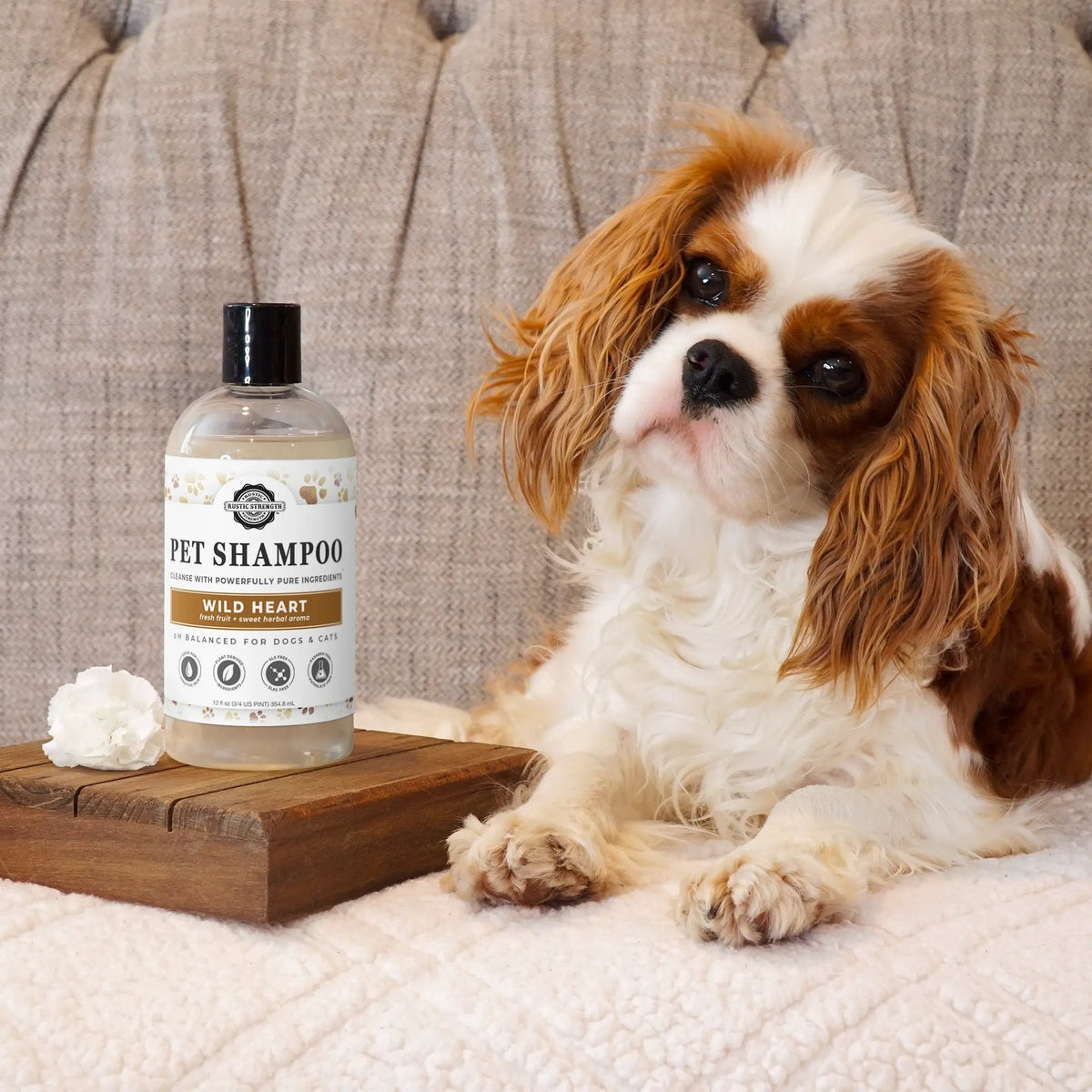 Pet Shampoo | Soothing & Deodorizing | Unscented, photo 2 of 14