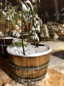 Whiskey & Wine Barrel Half-Barrel Planter — Multi-Use, Wine-Stained Oak