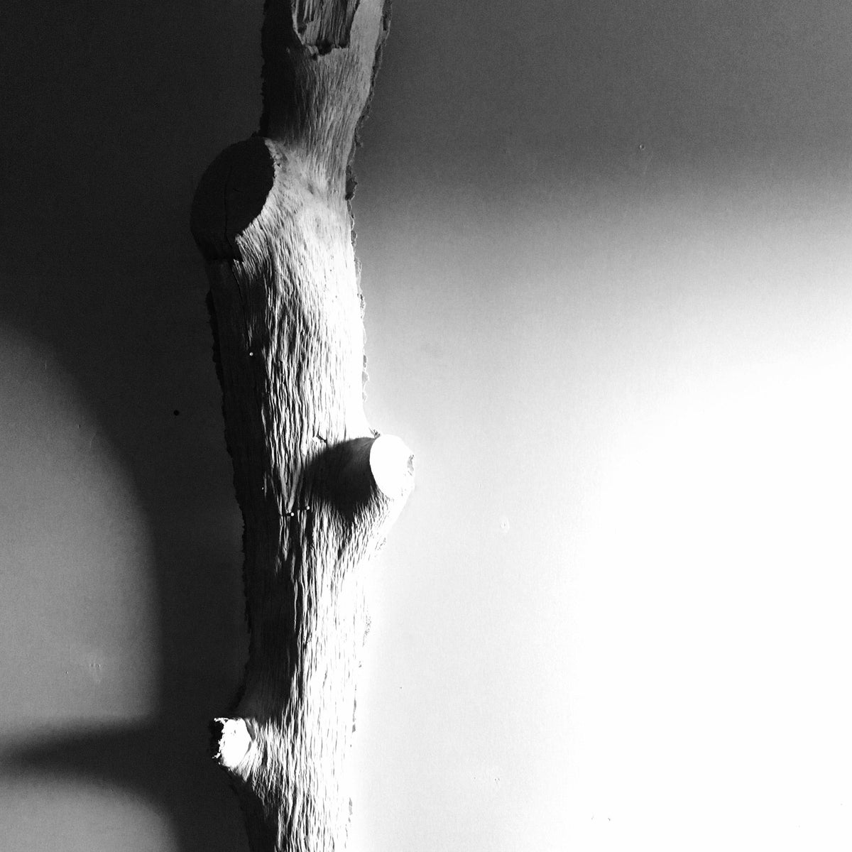 Light Weight Concrete Tree, photo 3 of 3