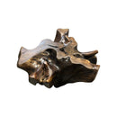 Rosewood Coffee Table (D)