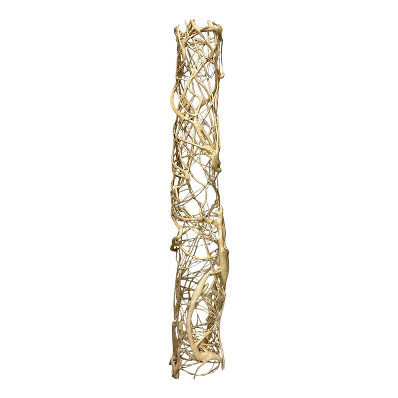 Root Column Bleached