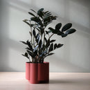 Pillar Planter