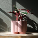 Pillar Planter