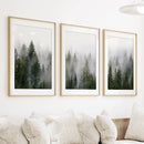 Green Pine Tree Forest. Foggy Nature Wall Art Prints by Wall Art Set